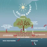 Beyond Sustainability: Implementing Regenerative Business Models for Long-Term Resilience